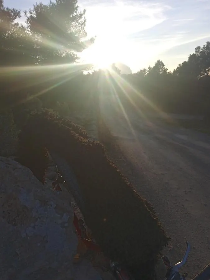 Pirats Des Vedra location